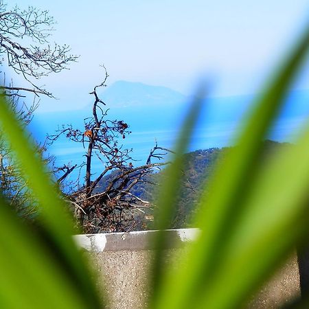 Al Fakhar Bed and Breakfast Ficarra Esterno foto