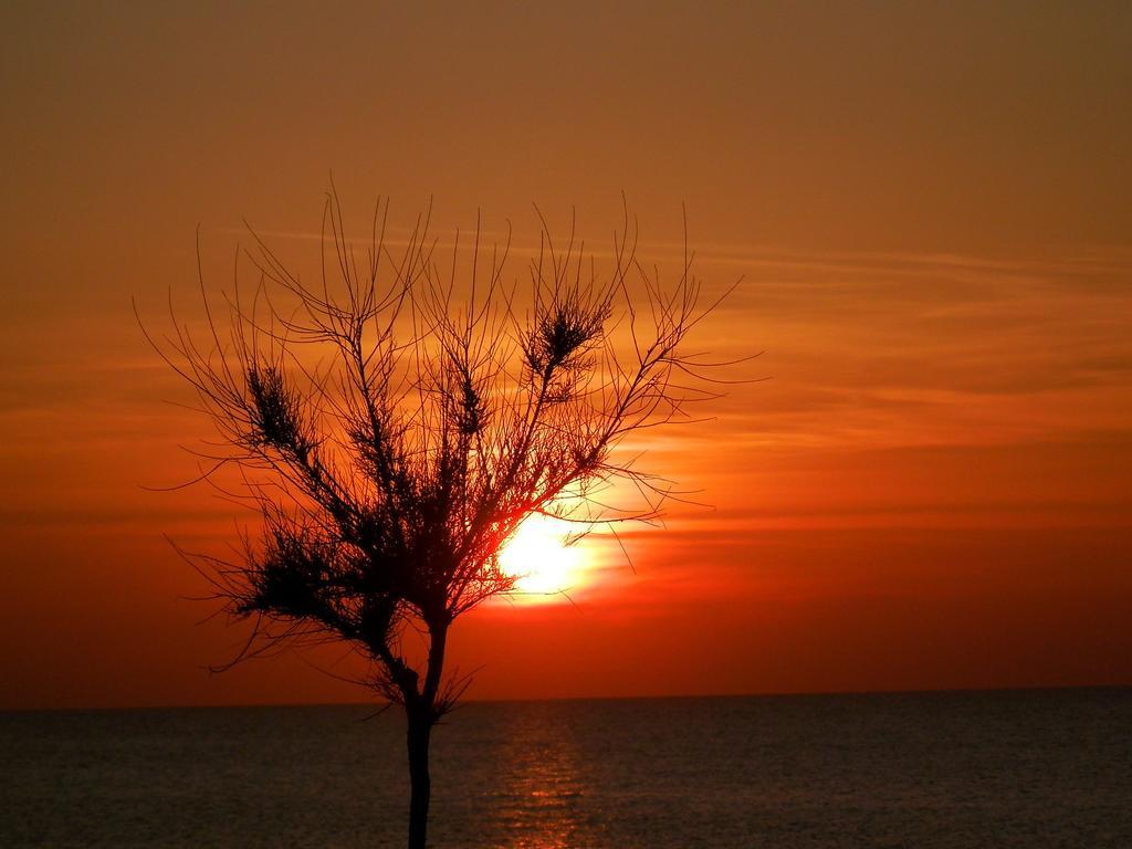 Al Fakhar Bed and Breakfast Ficarra Esterno foto