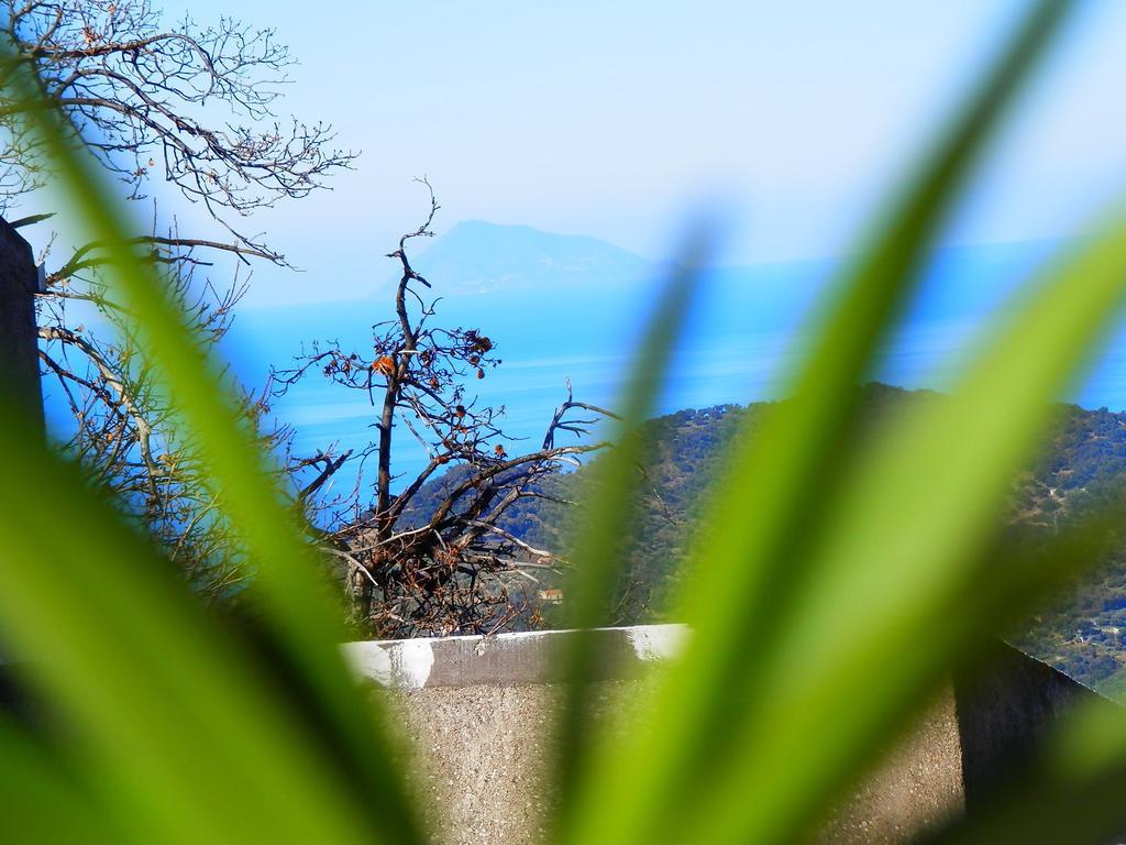 Al Fakhar Bed and Breakfast Ficarra Esterno foto